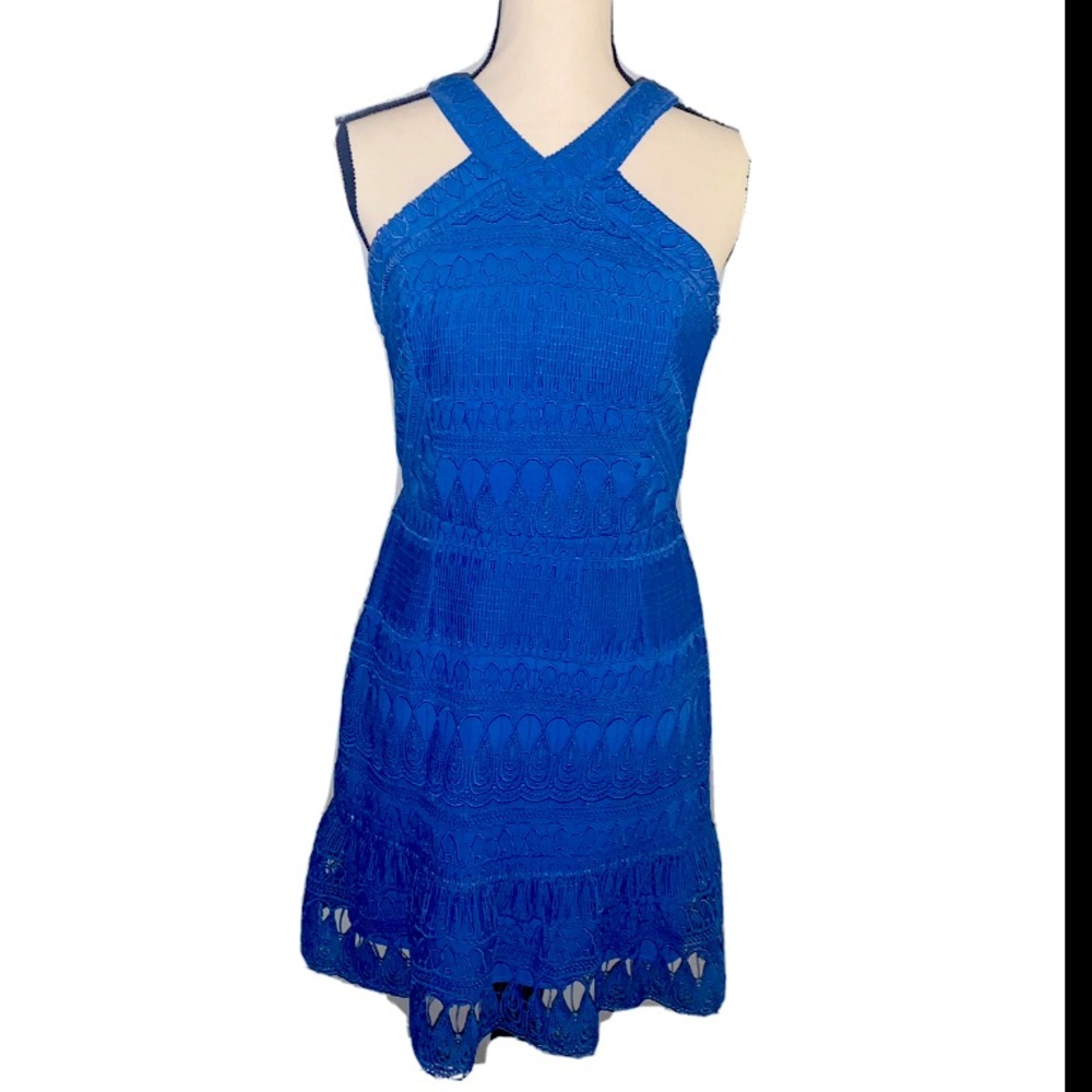 Greylin Sleeveless Dress